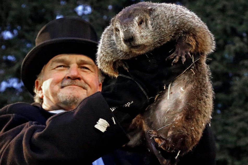 Murmeltier Phil sagt für die USA einen langen Winter voraus.