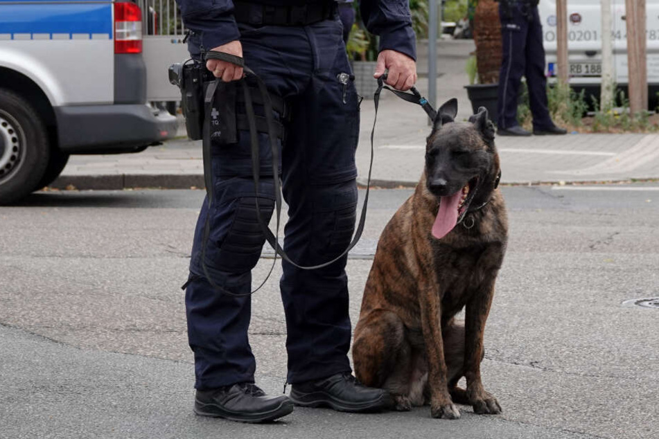 Ein Polizeihund hat in Soest einen Geldautomaten-Aufbrecher gestellt. (Symbolbild)