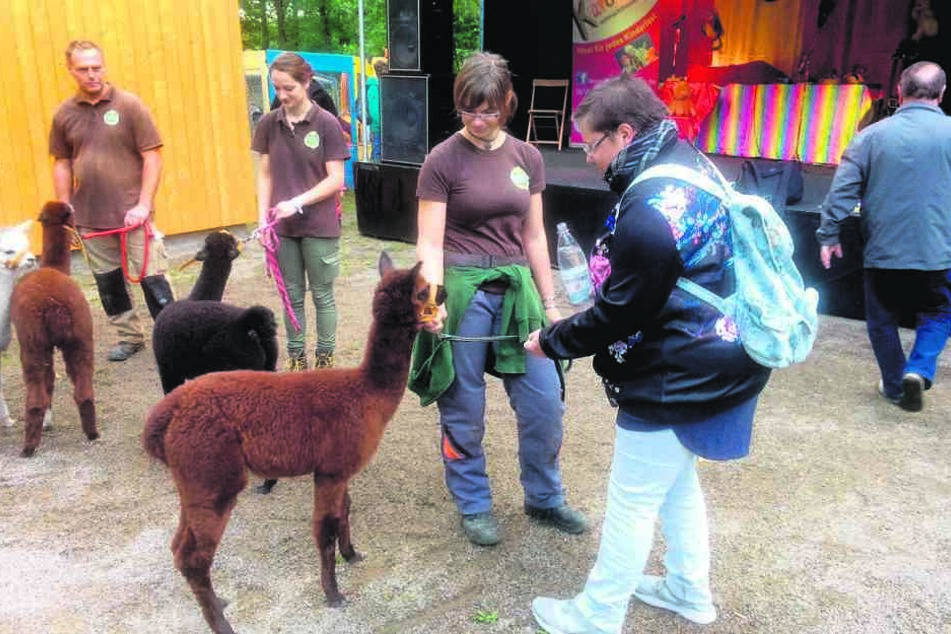 Ines Richter (31,r.) tauft „ihr“ Alpaka-Fohlen mit einem Schwapp
Mineralwasser auf den Namen Marla.