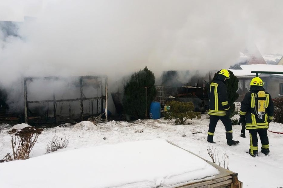 40 Tauben und sechs Hasen verstarben bei dem Brand.