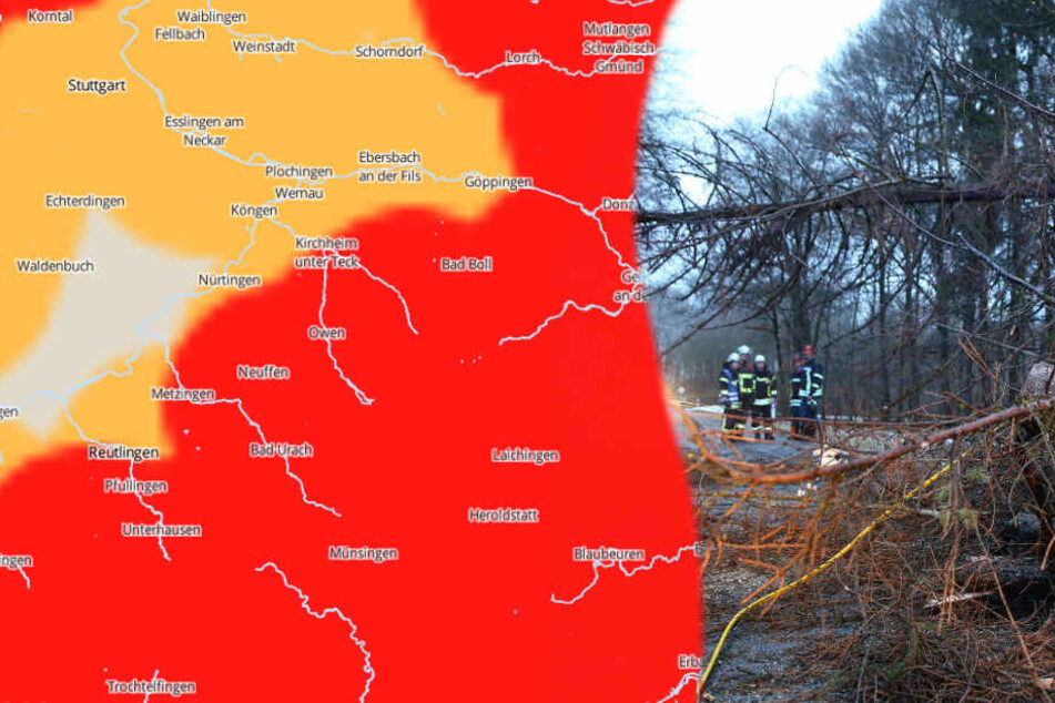 Auch nach dem Sturmtief "Burglind" (im Bild: Schäden nahe Bad Saulgau) bleibt das Wetter ungemütlich. (Fotomontage)