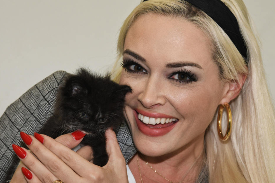 Auf Instagram zeigte sich TV-Star Daniela Katzenberger (32) als richtige Katze.