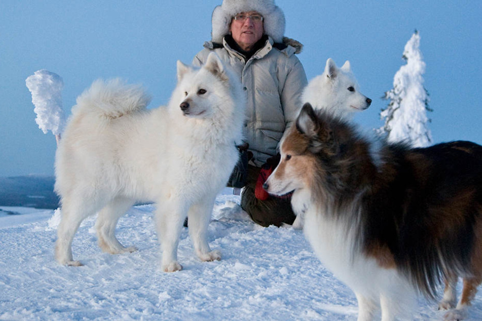 Im Winter ist es einsam bei Ute Fransson.
