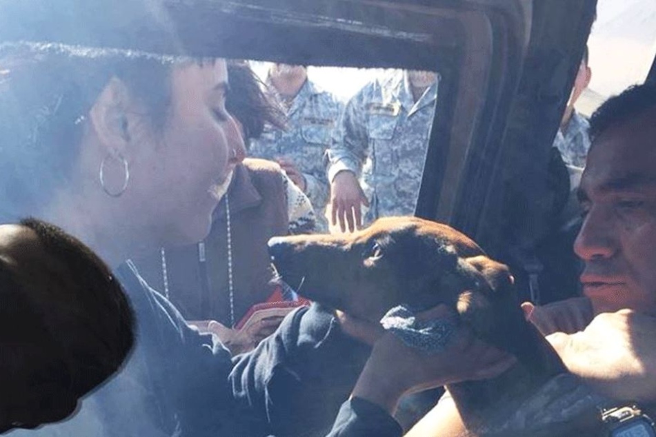 Überglücklich nimmt die Besitzerin Janis Cavieres ihren Hund in die Arme.