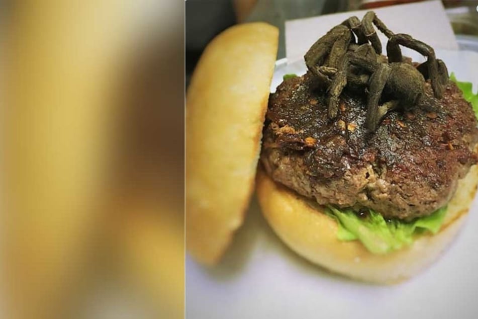 Eine Spinne als besondere Zugabe auf einem Burger... Geschmackssache!