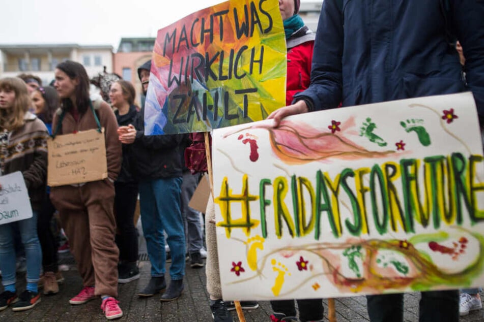 Teilnehmer halten Anfang März während einer Demonstration Schilder hoch.