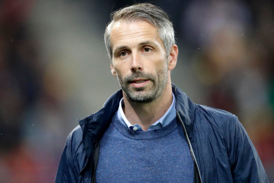 Wird Marco Rose künftig die Kraichgauer coachen?