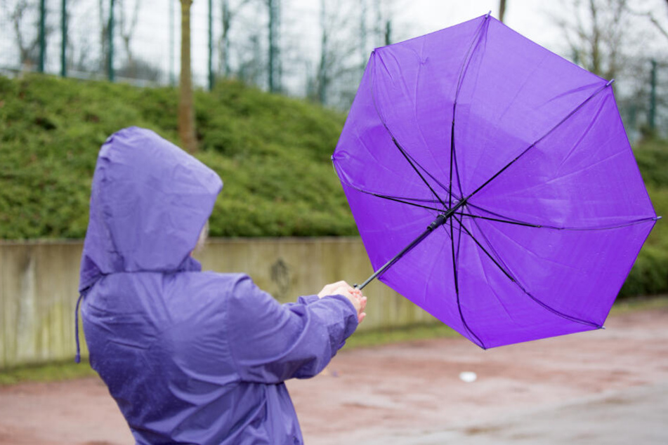 Einen Regenschirm könnt Ihr brauchen. Hoffentlich wird er nicht weggeblasen. (Symbolbild).