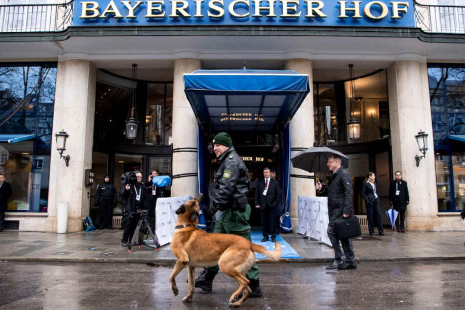 Ein Sprengstoff-Spürhund sucht vor der Sicherheitskonferenz 2018 das Gelände ab.