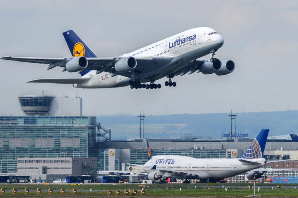 Der Mai hat der Lufthansa erneut mehr Passagiere beschert. (Symbolbild)