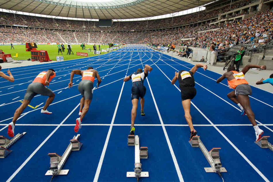 Knapp 1.600 Athleten treten vom 7. bis 12. August gegeneinander an.