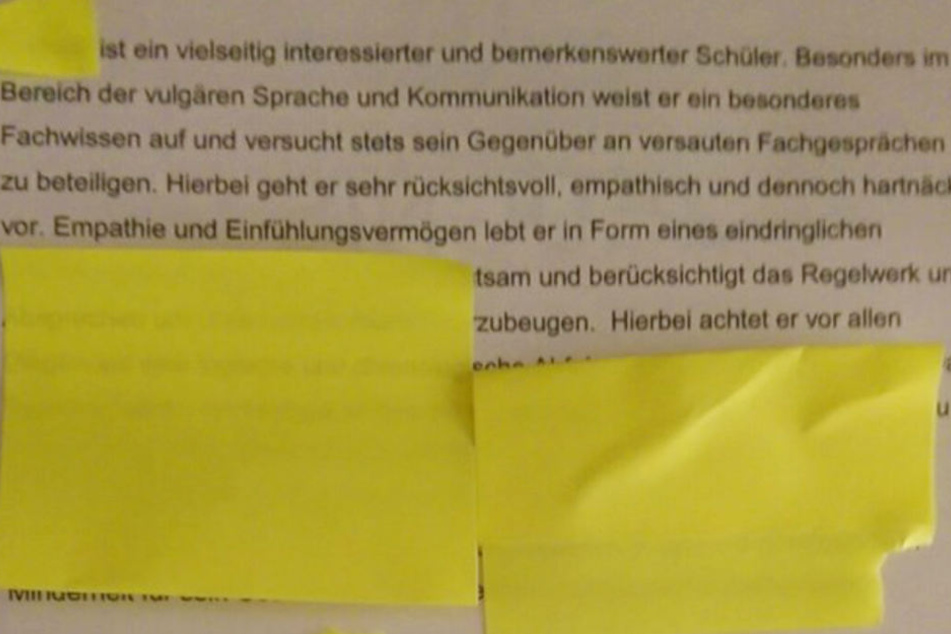 Der Textteil des Sex-Zeugnis erläutert die Notengebung.