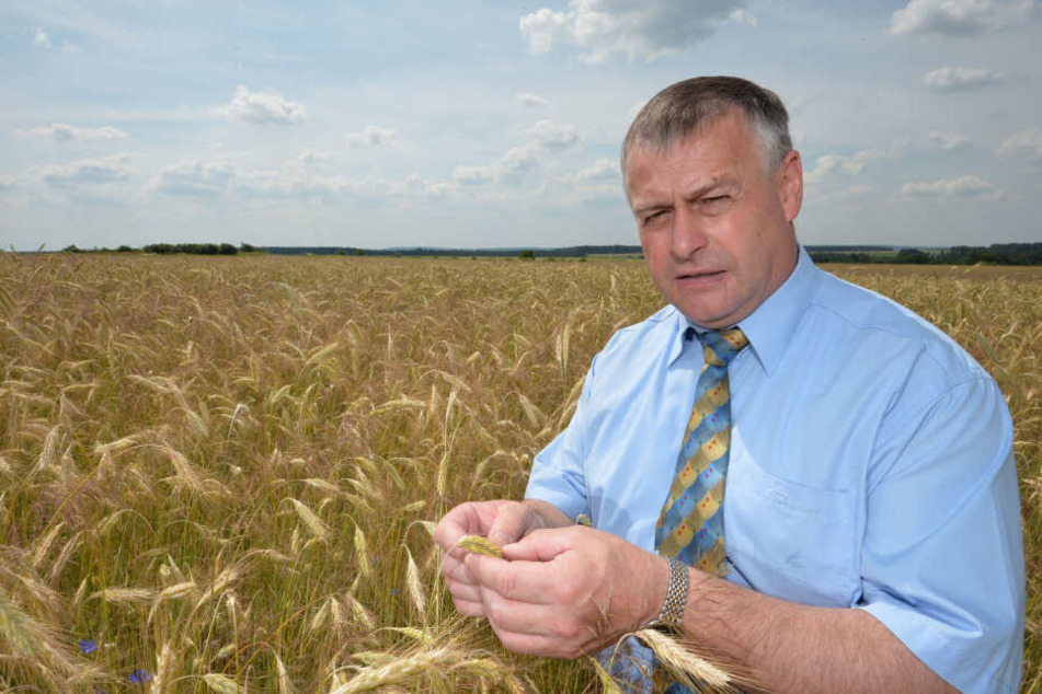 Präsident des bayerischen Bauernverbandes (BBV), Walter Heidl sieht den Ausbau der ökologischen Landwirtschaft als schwierig an. (Archivbild)