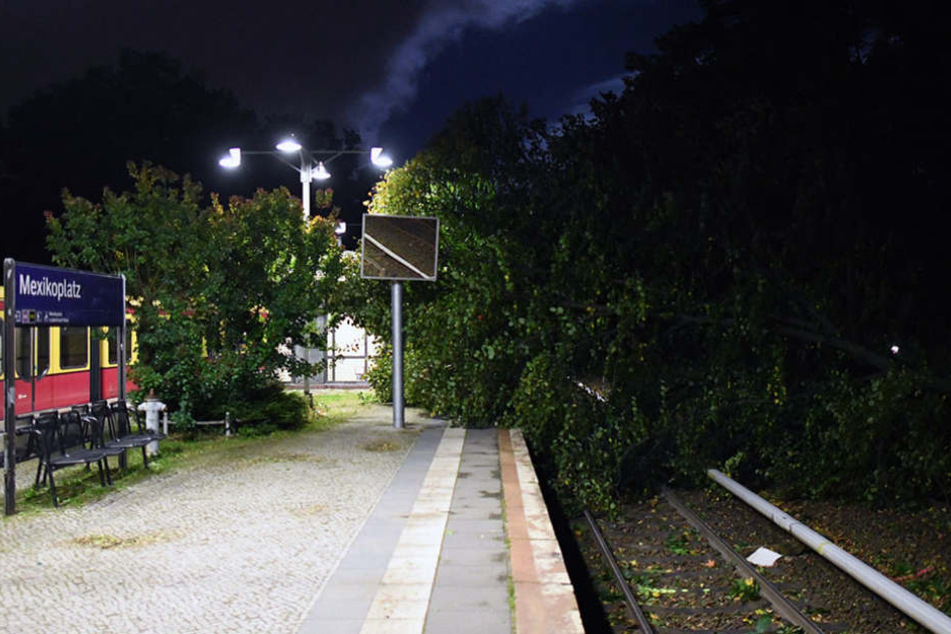 Am dem S-Bahnhof Mexikoplatz stürzte am Donnerstag ein Baum auf die Gleise. So wie hier, sah es an vielen Orten in Berlin aus.