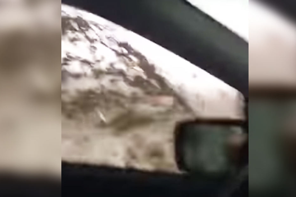 Für die Frau gab es aus ihrem Auto kein Entkommen.