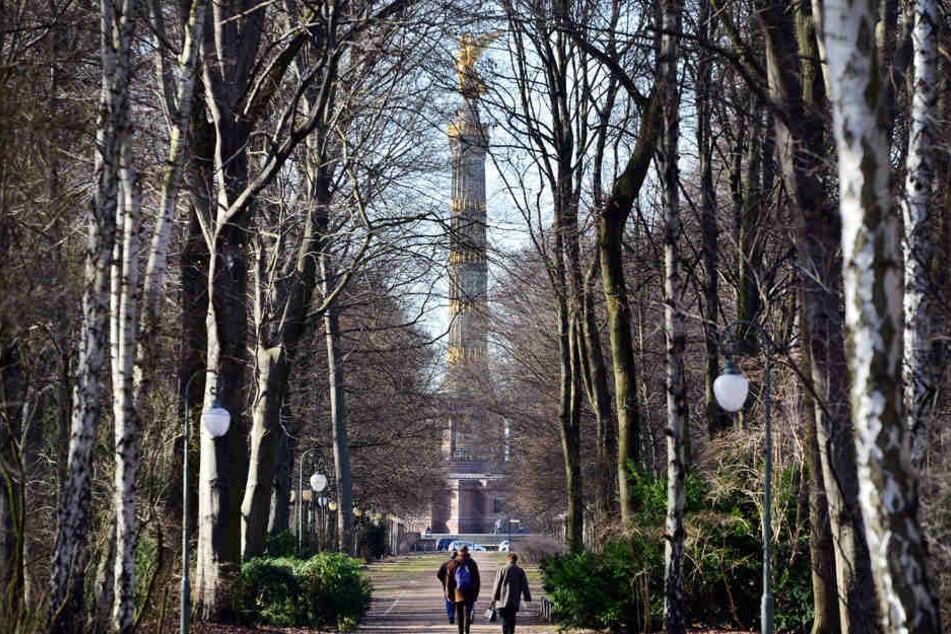 Westlich der Siegessäule erstreckt sich laut Menschenrechtsorganisationen eine regelrechte Szene.