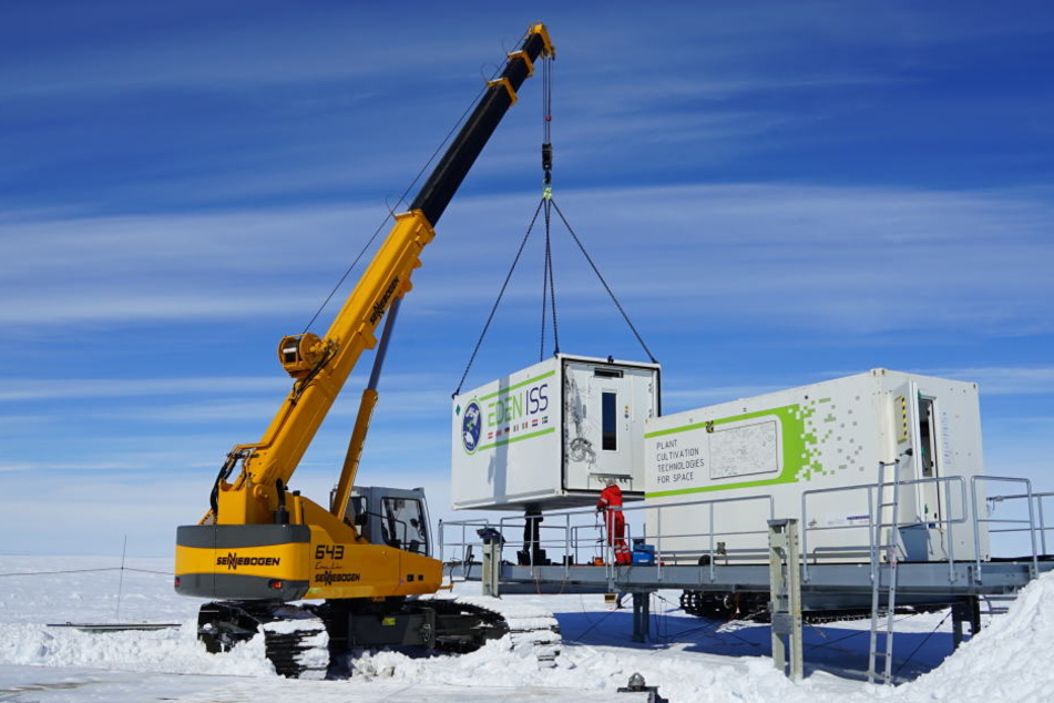 Das Gewächshaus befindet sich in Spezialcontainern.