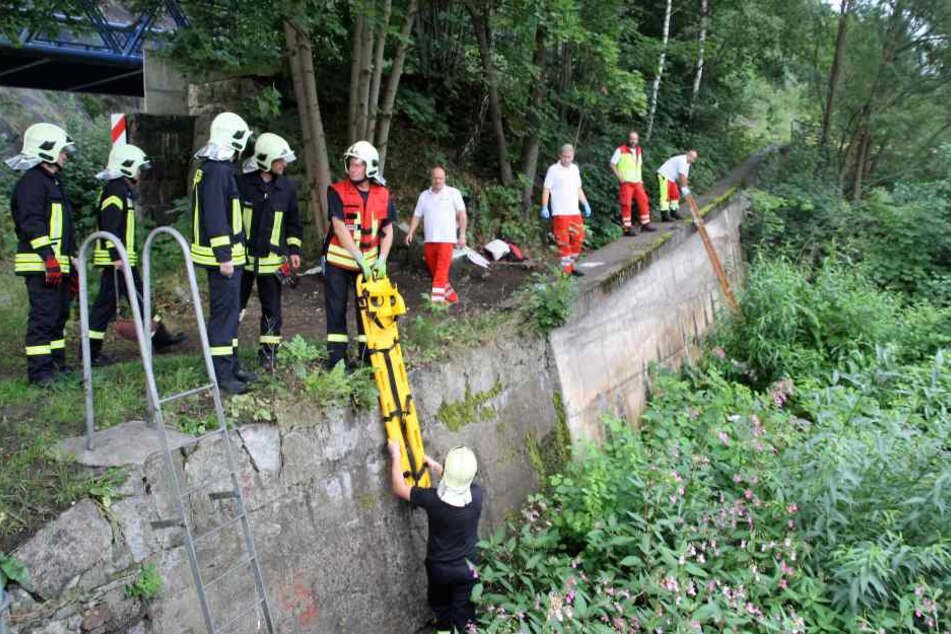 Mit Motorsägen musste die Feuerwehr sich den Weg durch die Büsche bahnen.