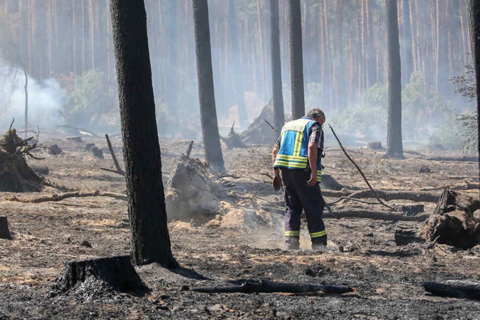 Ein Feuerwehrmann sucht am Waldboden nach Glutnestern. Überall qualmt es um ihn herum.