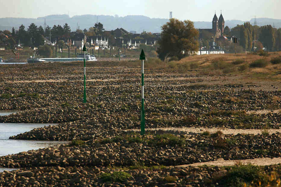 Der Rhein bei Köln führt Niedrigwasser.