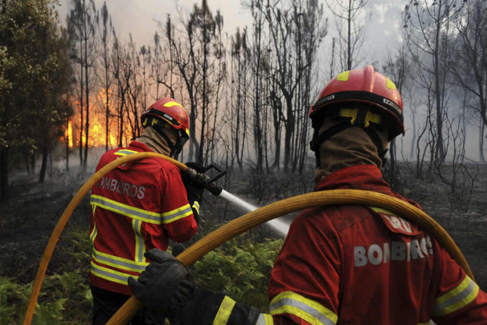 Bei dem Brand wurden auch mehrere Feuerwehrmänner verletzt.