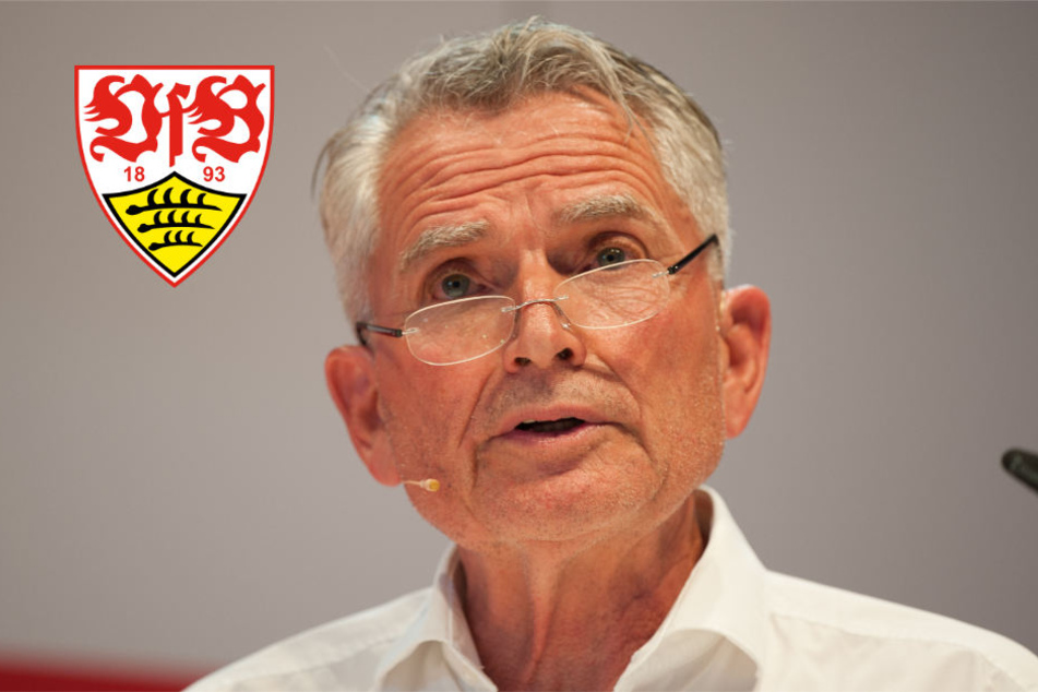 "Wenn ein Fonds unsere Bedingungen akzeptiert, will ich das nicht grundsätzlich ausschließen": VfB-Präsident Wolfgang Dietrich.