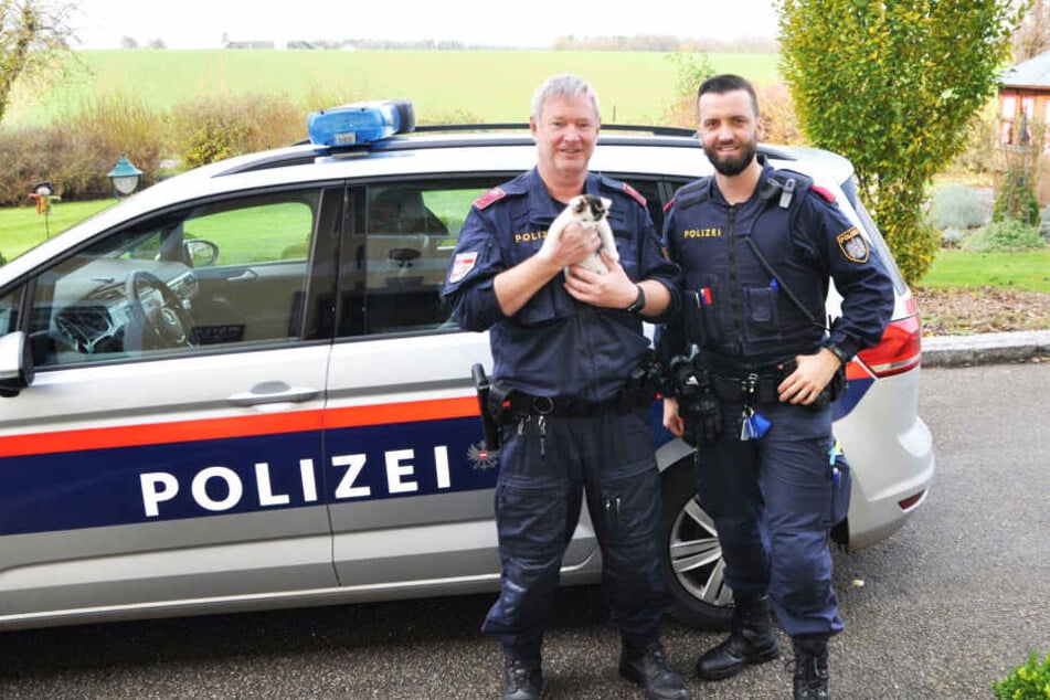 Ronald und Andi von der Polizei in Steyr halten das Kätzchen.