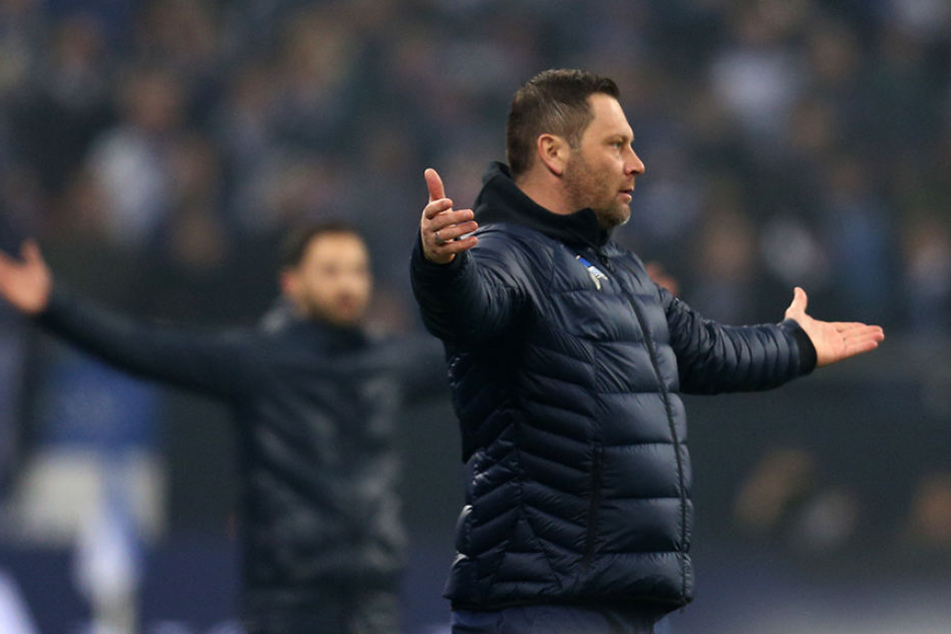 Hertha-Coach Pál Dárdai ratlos.