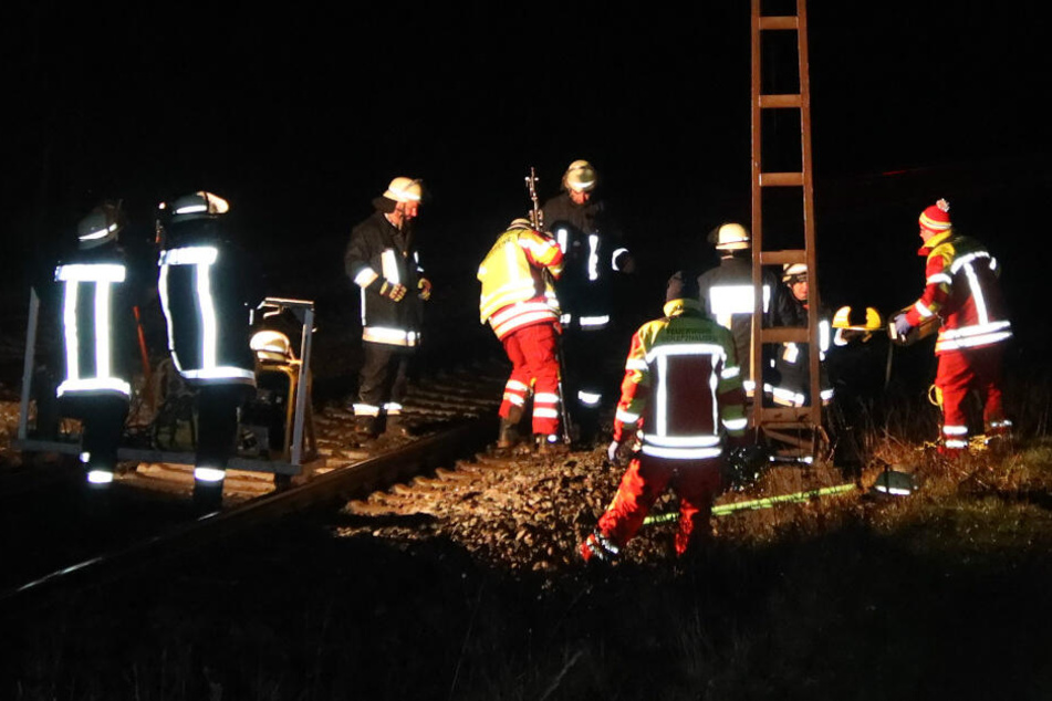 Die Feuerwehren aus Laaber und Beratzhausen unterstützten bei der Bergung.