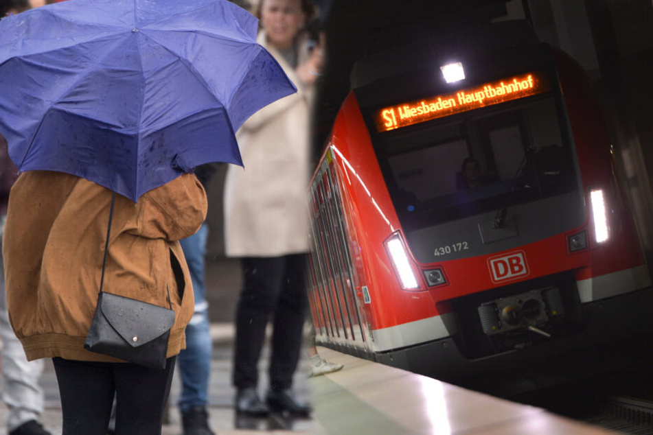 Fotomontage: Besonders die S2 und S6 sind von den Störungen betroffen (Symbolbild).