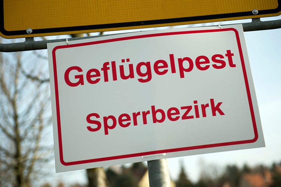 Große Teile des Leipziger Südens wurden am Dienstag zur Sperrzone erklärt.