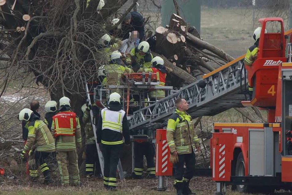 Schwer verletzt wird der Mann aus dem baum befreit.