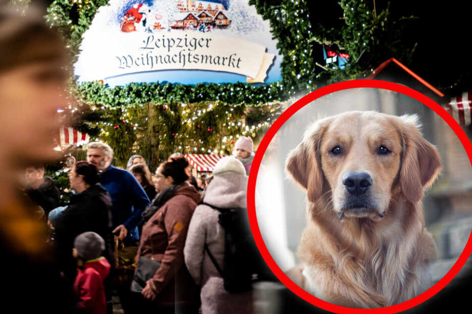 Mit Tritten und Scherben muss auf dem Weihnachtsmarkt aus Hundeperspektive gerechnet werden. (Bildmontage)