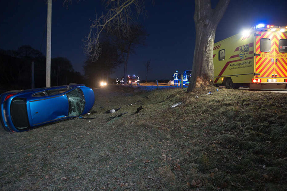 Der Peugeot krachte erst gegen einen Baum und überschlug sich dann.