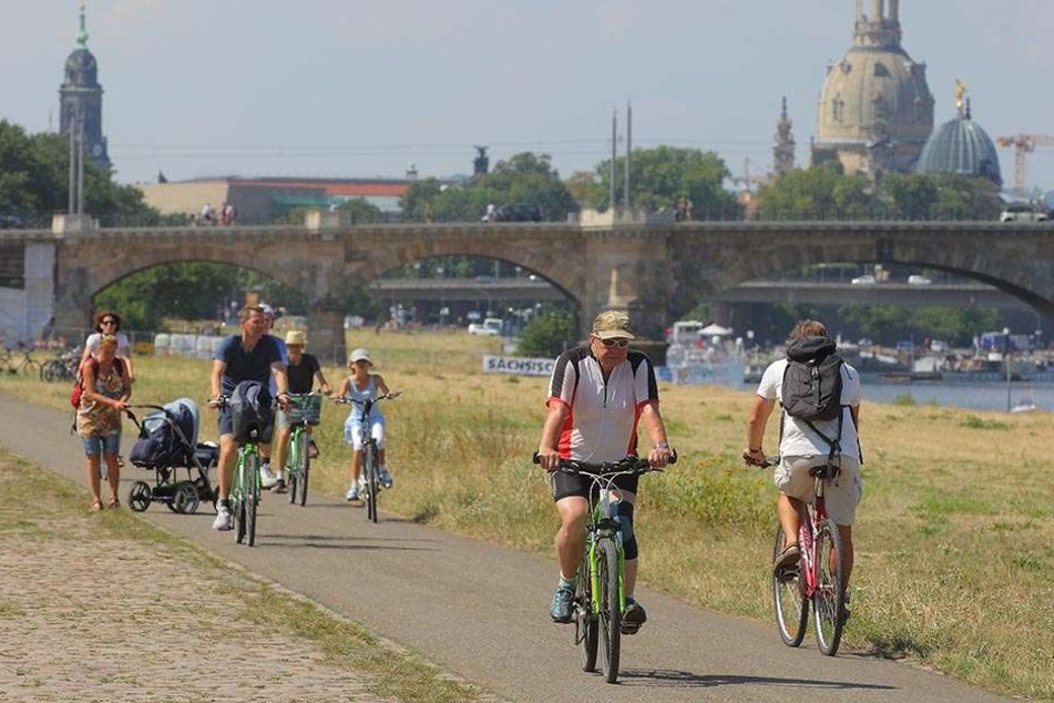 Der Elberadweg: Hier treffen sich Fußgänger, Radfahrer und manchmal auch noch Skater auf engstem Raum.