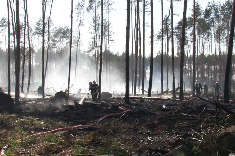 Ein etwa drei Hektar großes Waldstück stand in Flammen.