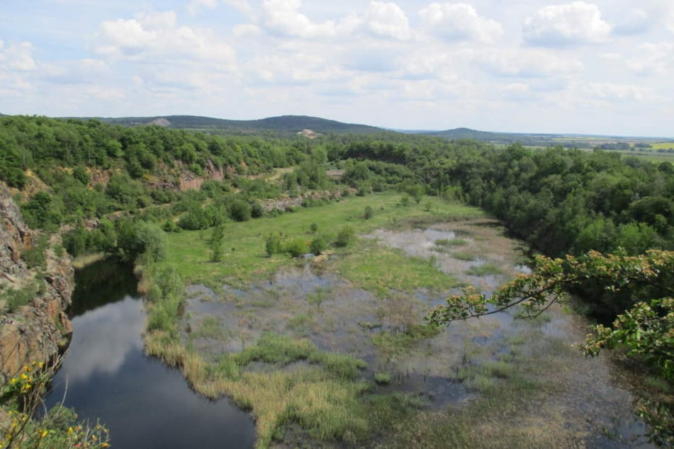 Durch das Vorhaben ist auch die etwa drei Hektar große Flachwasserfläche am Fuße der Felswand bedroht. Felswand und Flachwasserzone sind laut der Bürgerinitiative Böhlitz Lebensraum für zahlreiche Tiere.