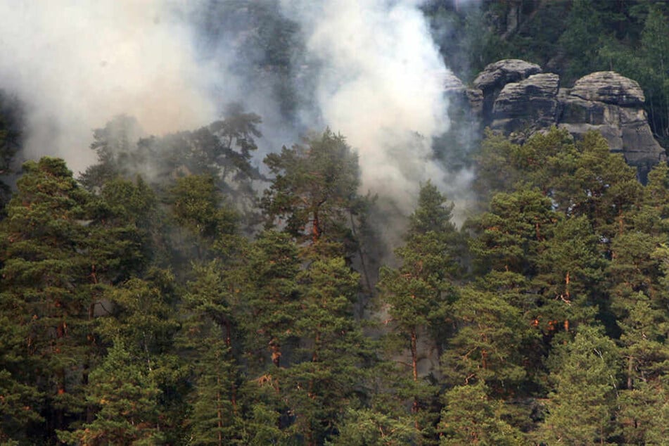 Feuerwehreinsatz in Sächsischer Schweiz: Nationalpark-Besucher verursacht Brand