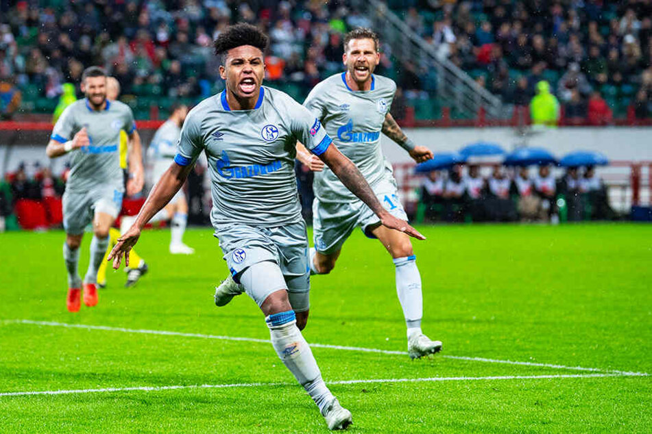 Auch Schalkes Weston McKennie befindet sich in guter Form und dürfte gegen den BVB in der Startformation stehen.