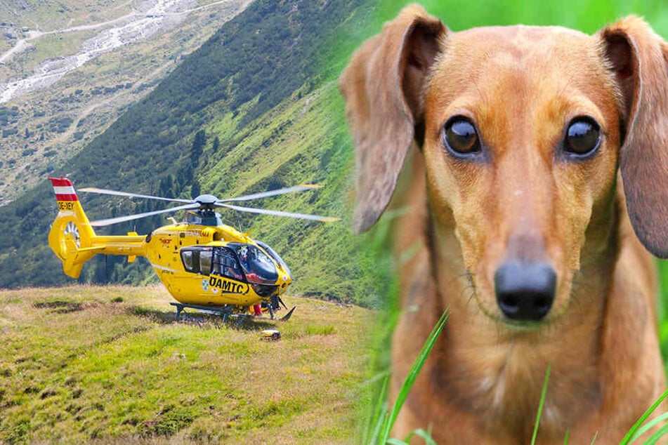 Der Wanderer wollte seinen Hund retten, stürzte dabei aber selbst in den Tod. (Symbolbild)