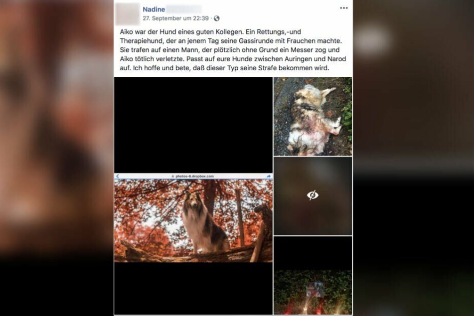 In Facebook kursieren mehrere Beiträge zu dem Vorfall.