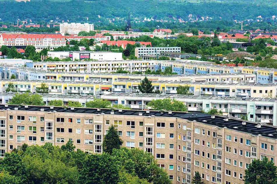 Der Wohnungsmarkt in Dresden ist inzwischen zum Nachfragemarkt gekippt. Die
Mieten steigen kräftig.