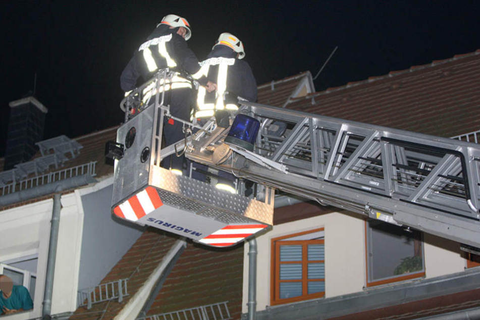 Mit der Drehleiter holten die Feuerwehrmänner das Tier vom Dach.