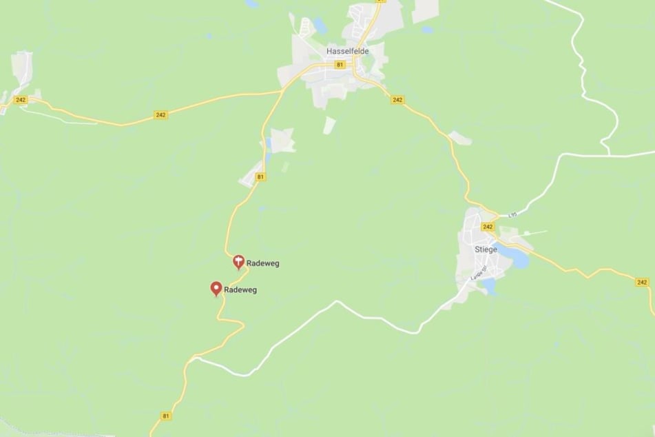 Am Radeweg bei Hasselfelde (Kreis Harz) wurde am Samstag ein Biker schwer verletzt hinter einer Leitplanke gefunden.