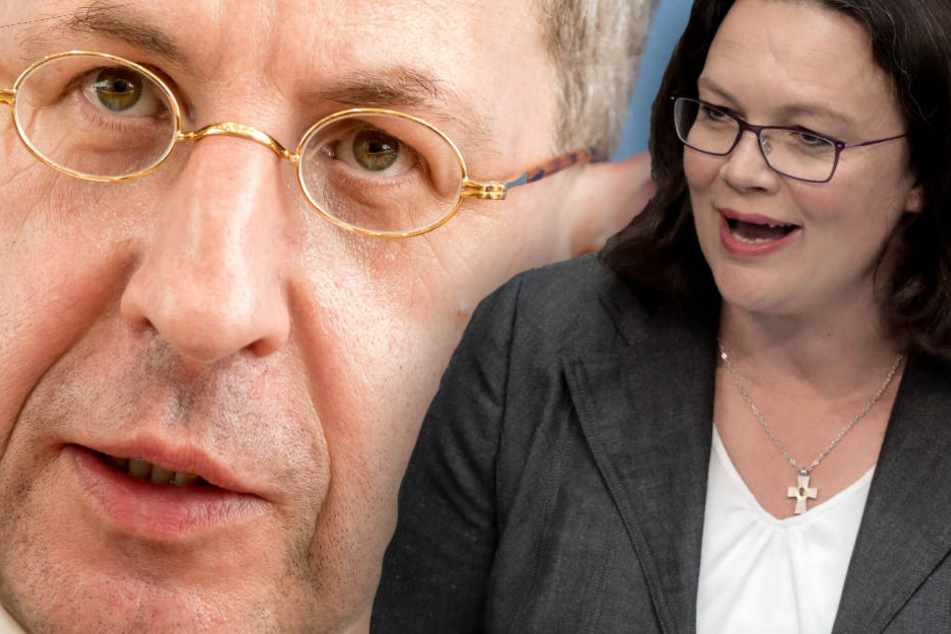 Ist Nahles am ganzen Maaßen-Dilemma Schuld? Seehofer hatte zwei Lösungsvorschläge angeboten. (Bildmontage)