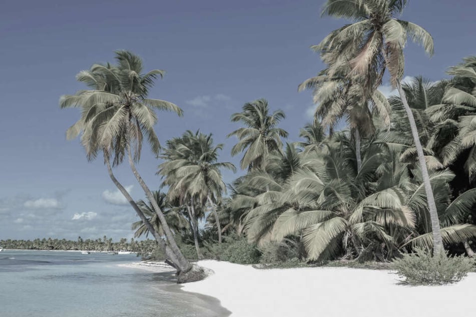 Das schöne Bild der Karibikinsel "Dominica" wurde 2017 vom schrecklichen Todesfall eins deutschen Staatsbürgers aus Hamburg überschattet.