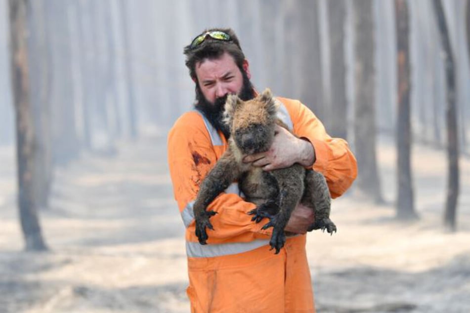 Wildtierretter Simon Adamczyk trägt einen Koala aus einem brennenden Wald in der Nähe von Cape Borda auf Kangaroo Island, südwestlich von Adelaide.