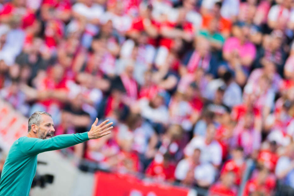 4. Spieltag im RheinEnergieStadion: Mönchengladbachs Trainer Marco Rose gestikuliert.