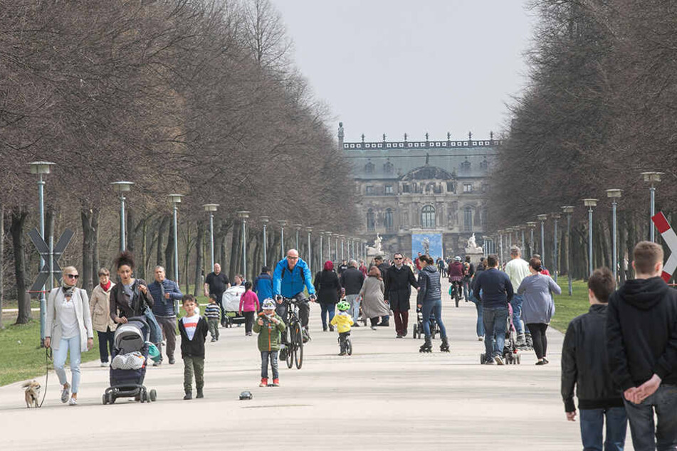 Sonniges Dresden Superfruhling Bringt Bis 24 Grad Tag24