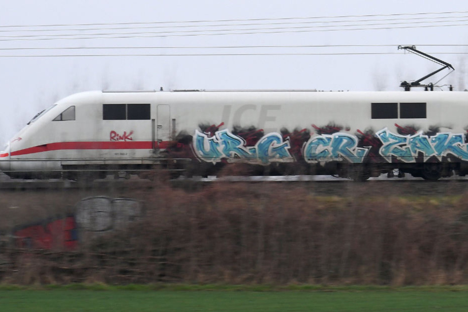 Graffiti an Zügen kostet die bayerischen Bahnanbieter sehr viel Geld. (Archivbild)